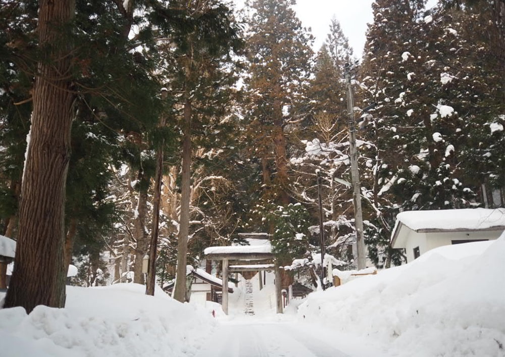 車が運転できなくても雪国で生活できるのか？ 山形 看護師