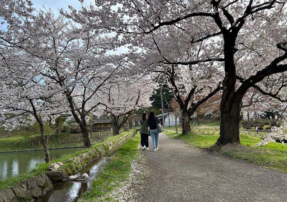 看護師 山形 僻地医療